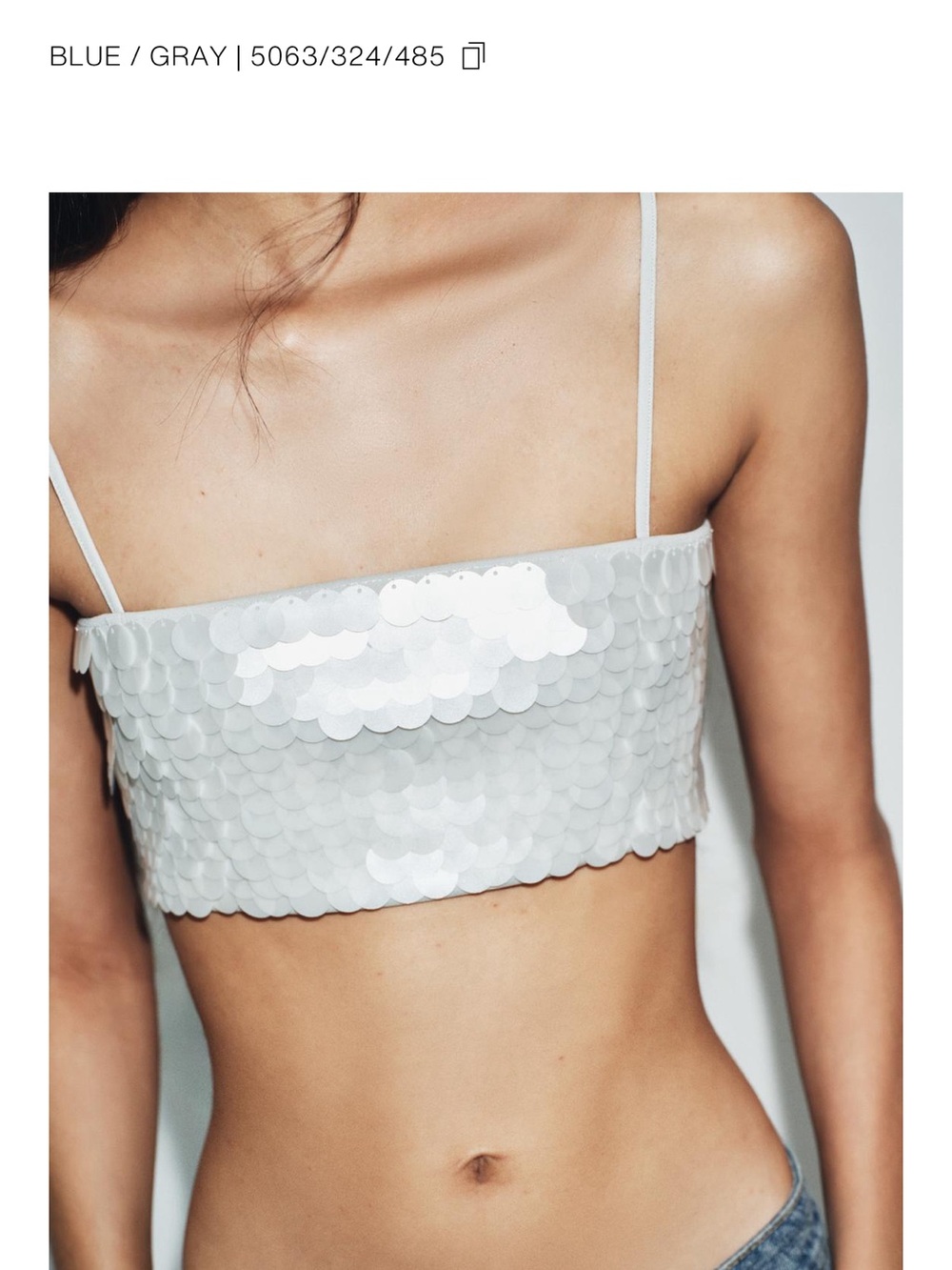 Zara Sequin Bandeau Crop Top